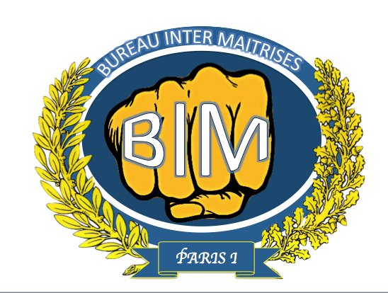 La veste du BIM, est donc bleue marine et blanche, portant au dos les initiales de Bureau Inter Maitrises, et sur le devant notre logo ainsi que le surnom attribué à chaque membre du groupe et choisi