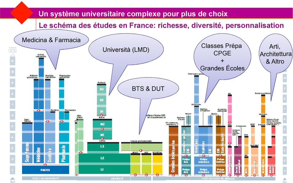 études en France: richesse, diversité, personnalisation Medicina &